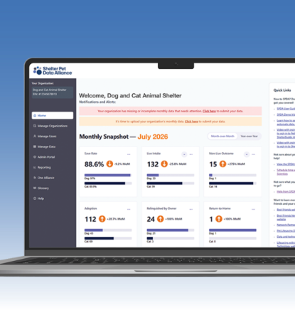 Mock-up of SPDA website on laptop