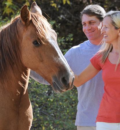 Family volunteering with brown horse