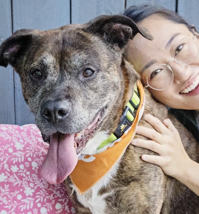 Person leaning down to snuggle with a brindle dog who is smiling with his tongue out