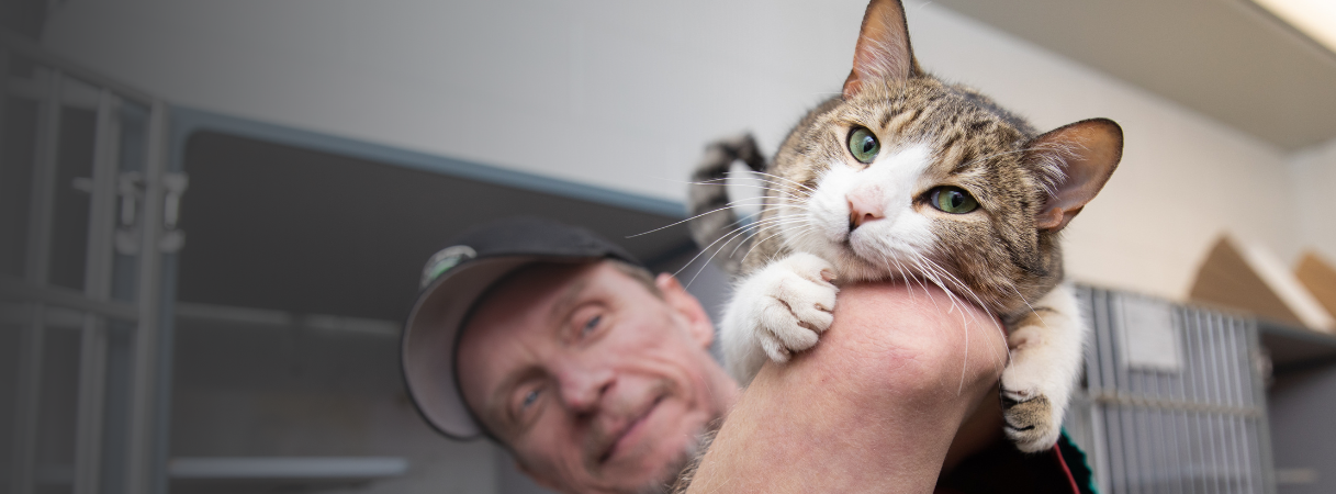 Man in shelter with cat resting on his upturned elbow