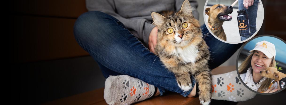 Collage of three photos: cat with a person wearing paw print socks, dog sniffing person wearing Best Friends hatdog and person holding water bottle, and 