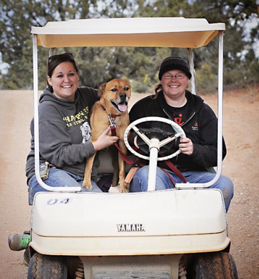 Two people driving in a golf cart with a happy dog in-between them