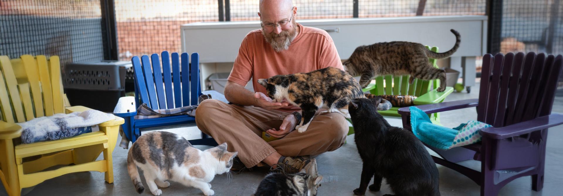 man sitting on floor playing with cats
