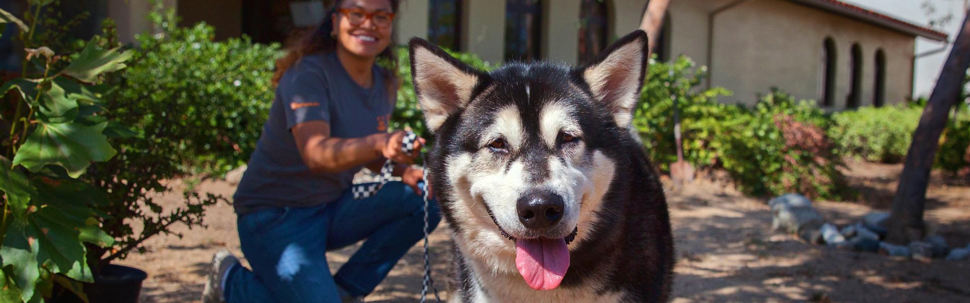 Smiling person kneeling outside with a happy big dog