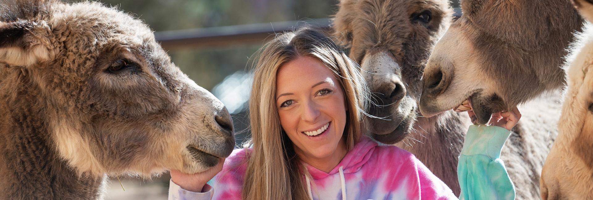 Person smiling while standing with a group of donkeys