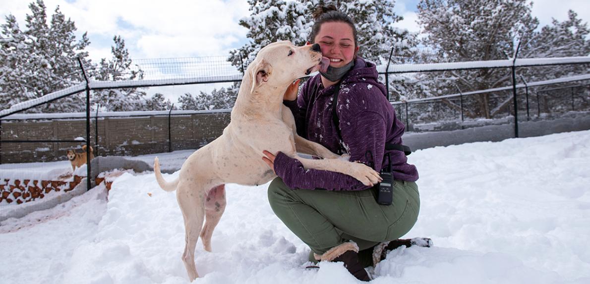 Dog jumping up to lick a person outside in the snow
