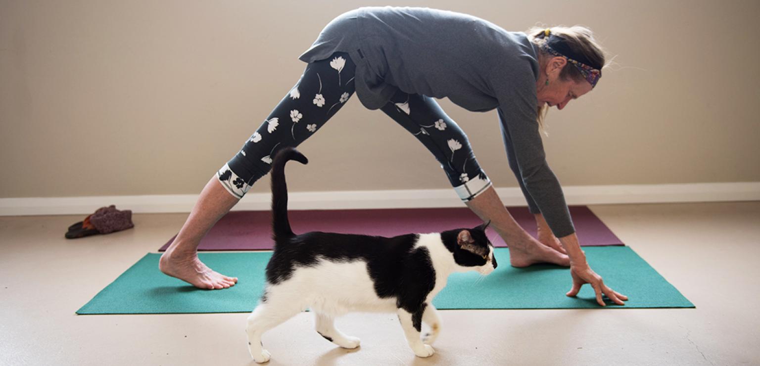 Cat walking by a person bending down doing yoga on a yoga mat