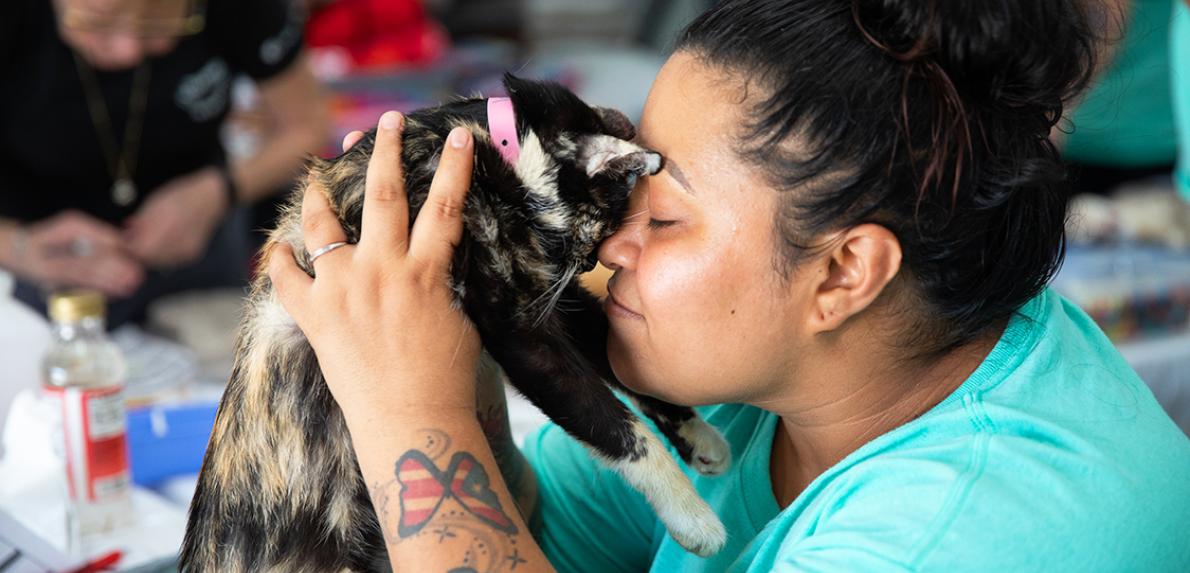 Person holding a calico cat, forehead-to-forehead