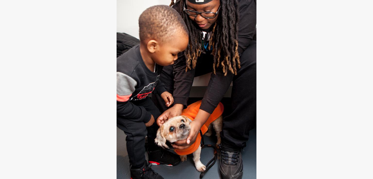 Child and adult bending down to pet a small dog
