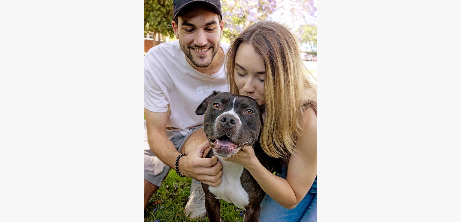 Person kissing the head of a dog while another smiling person looks at them