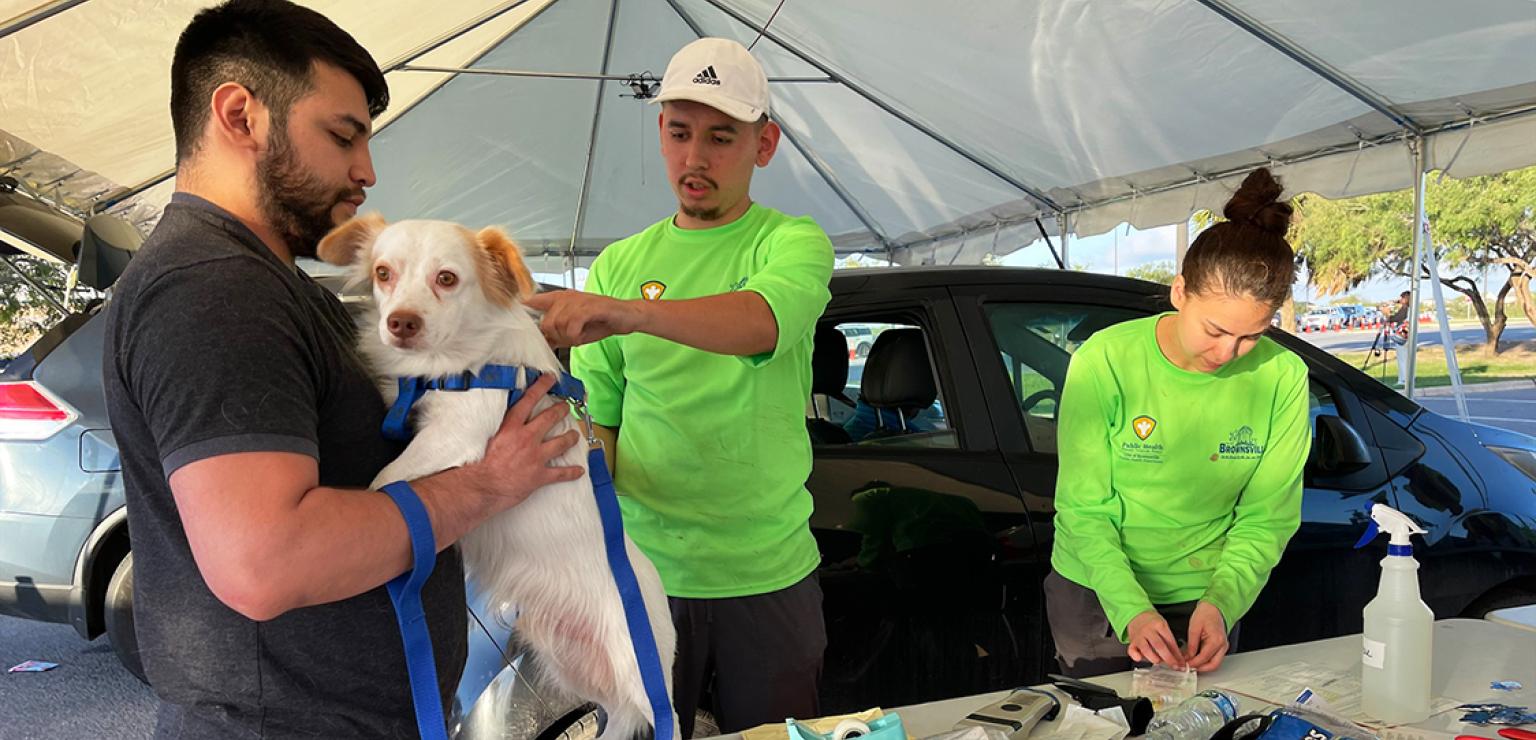 Two people in bright green shirts working to microchip a small dog who is being held by a third person