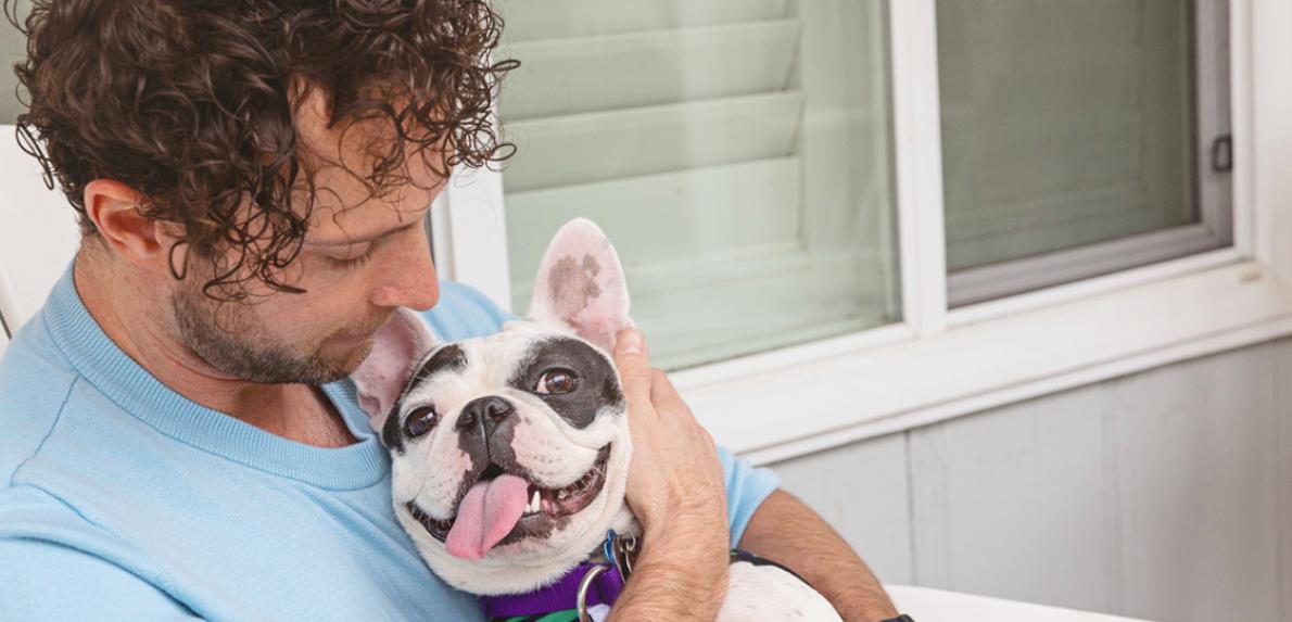 Person cradling a black and white French bulldog in his arms