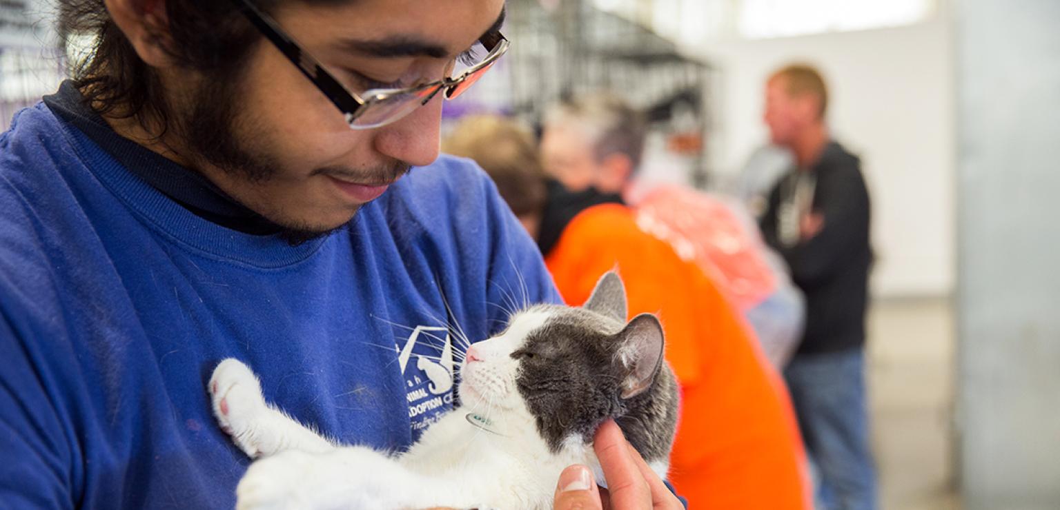 Person looking down at the gray and white cat he's cradling in his arms at an adoption event