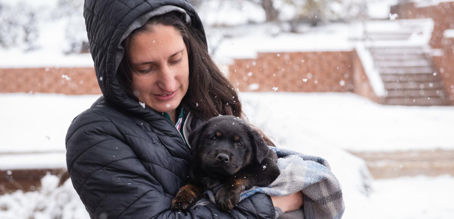 Person wearing a winter coat holding a dark-colored puppy outside with snow around them