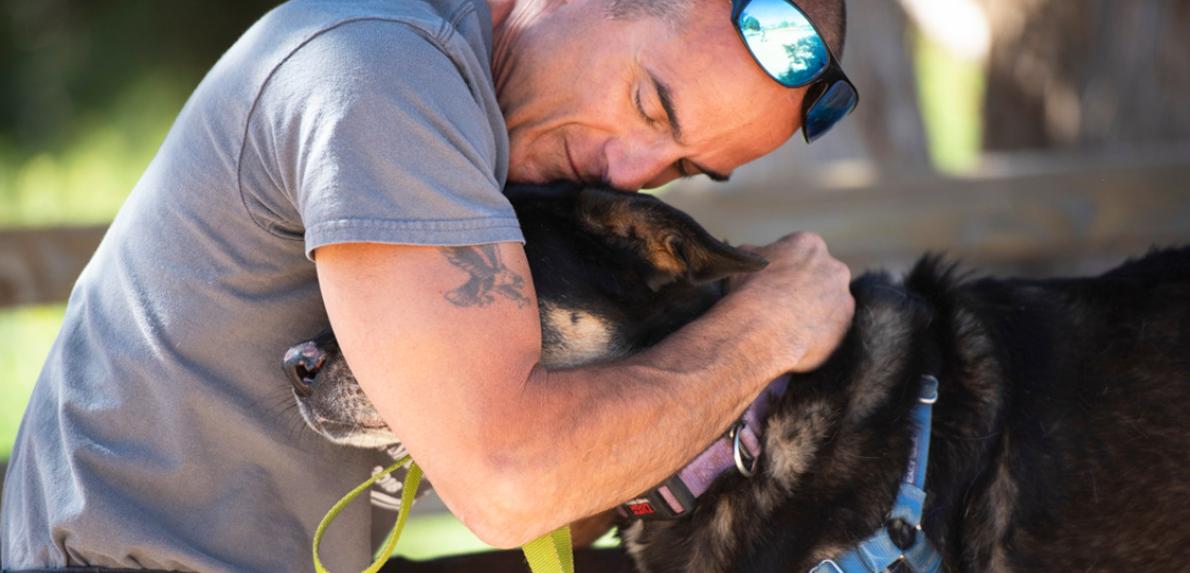 Person hugging a dog