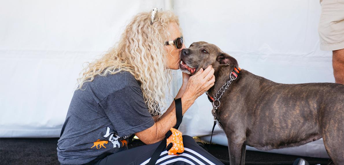 Person kissing a brindle dog
