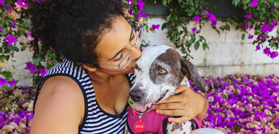 Person hugging and kissing a dog who is wearing a harness and tag