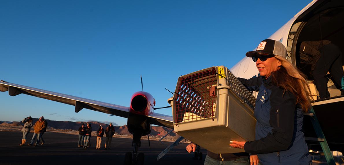 Best Friends CEO holding a carrier containing an animal transported via a flight during the Los Angeles wildfires