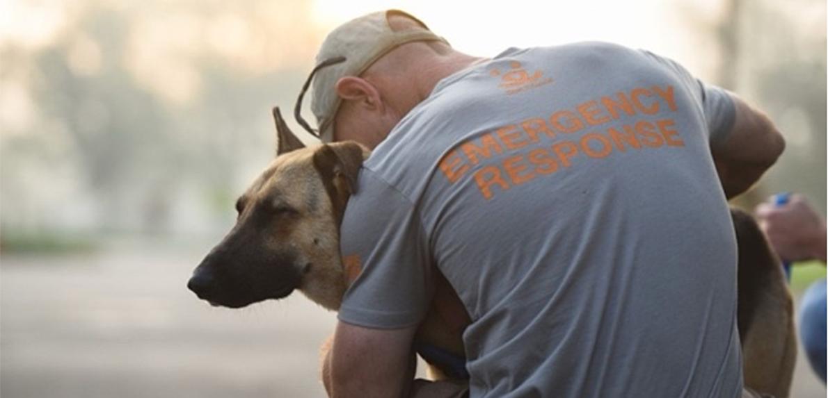 Person wearing a Best Friends Emergency Response T-shirt hugging a shepherd dog