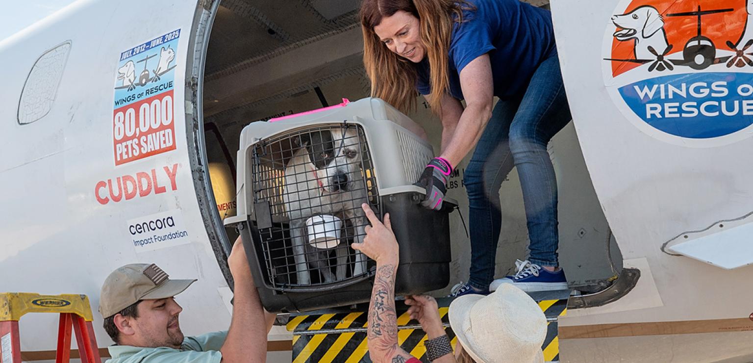 Person handing a dog in a crate down off the Wings of Rescue flight transport from the floods in Texas