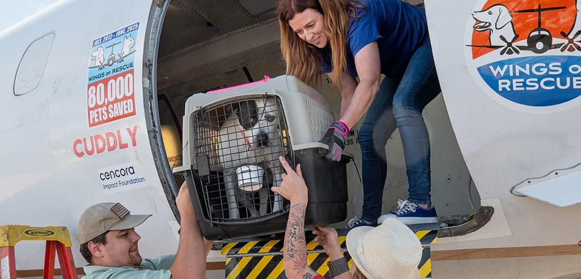 Person handing a dog in a crate down off the Wings of Rescue flight transport from the floods in Texas