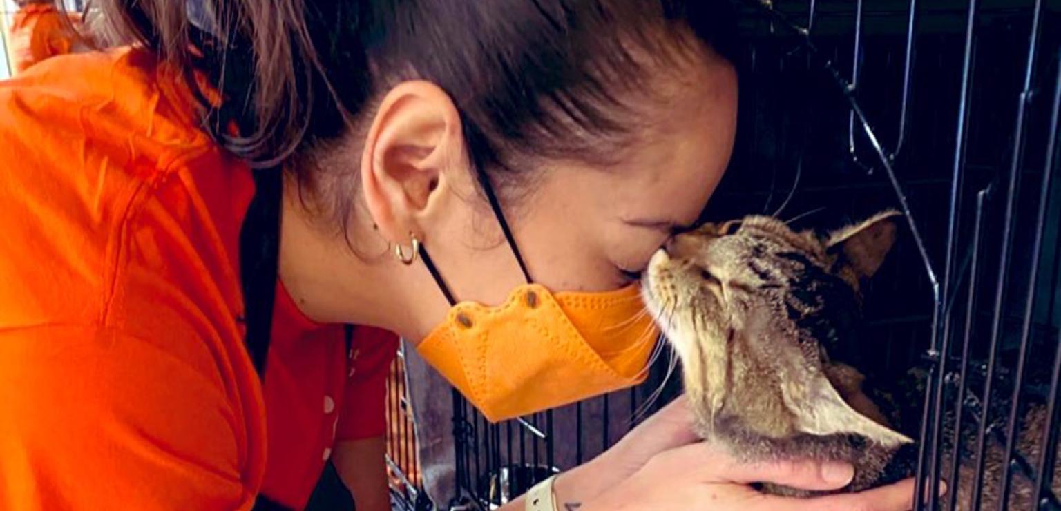 Aurora González wearing an orange shirt and mask snuggling with a cat in a kennel