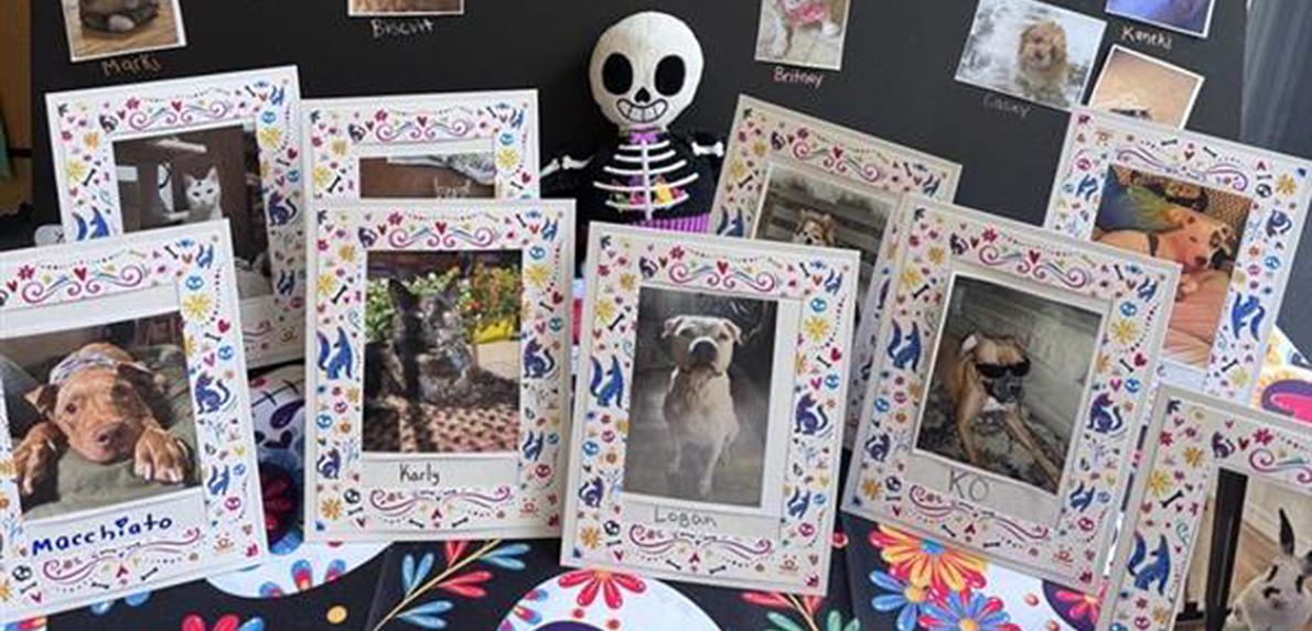 Ofrendas en el Centro de Salvamento en la ciudad de New York