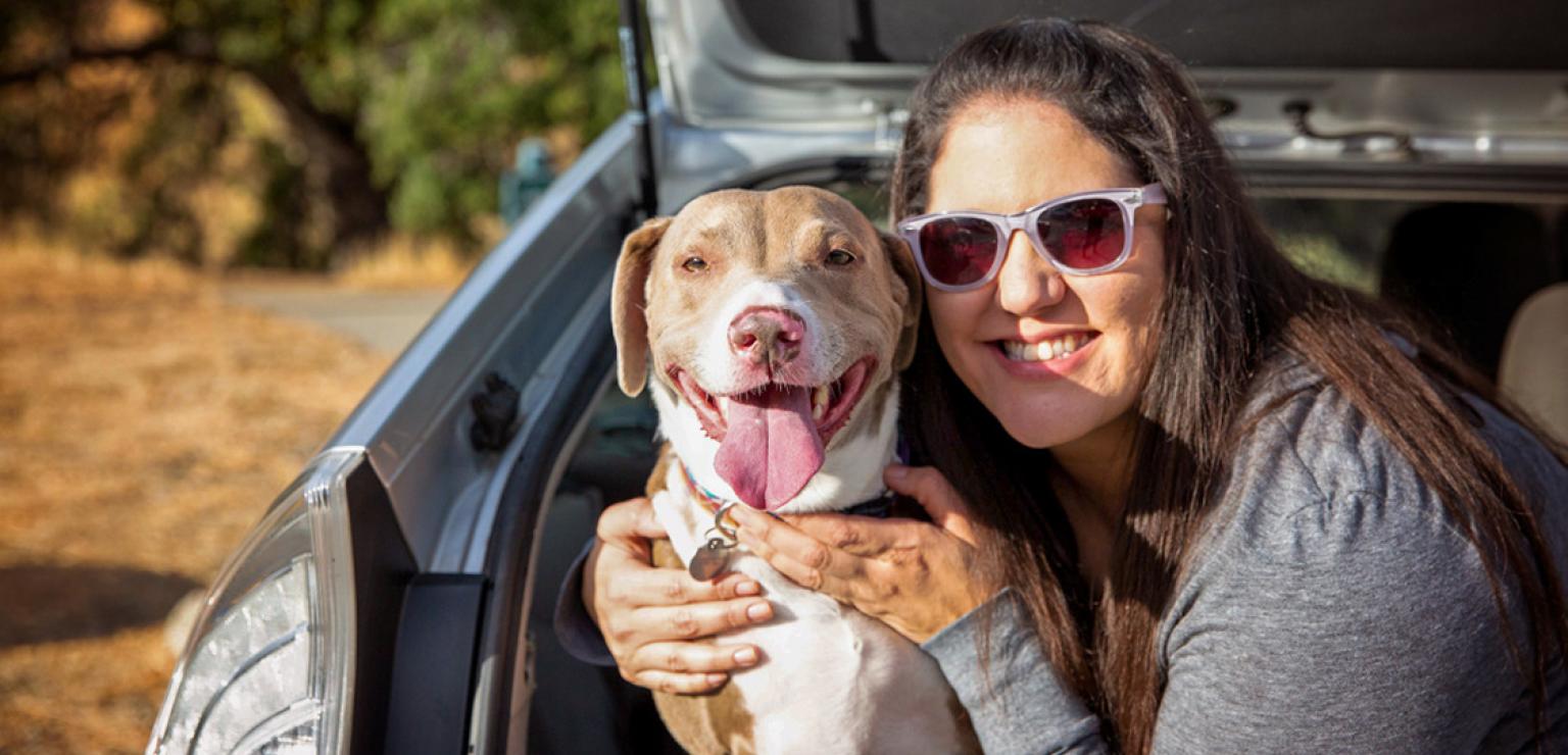 Person hugging a dog from inside a hatchback vehicle