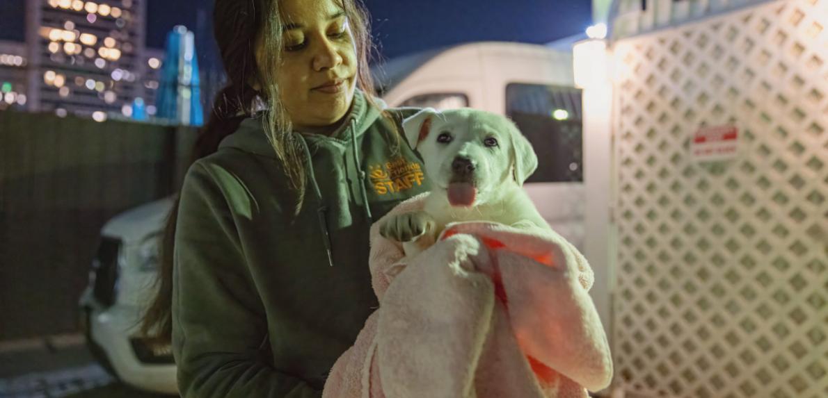 A puppy grins while being held by a caregiver at Best Friends Animal Society in Los Angeles before a lifesaving flight to a network partner.
