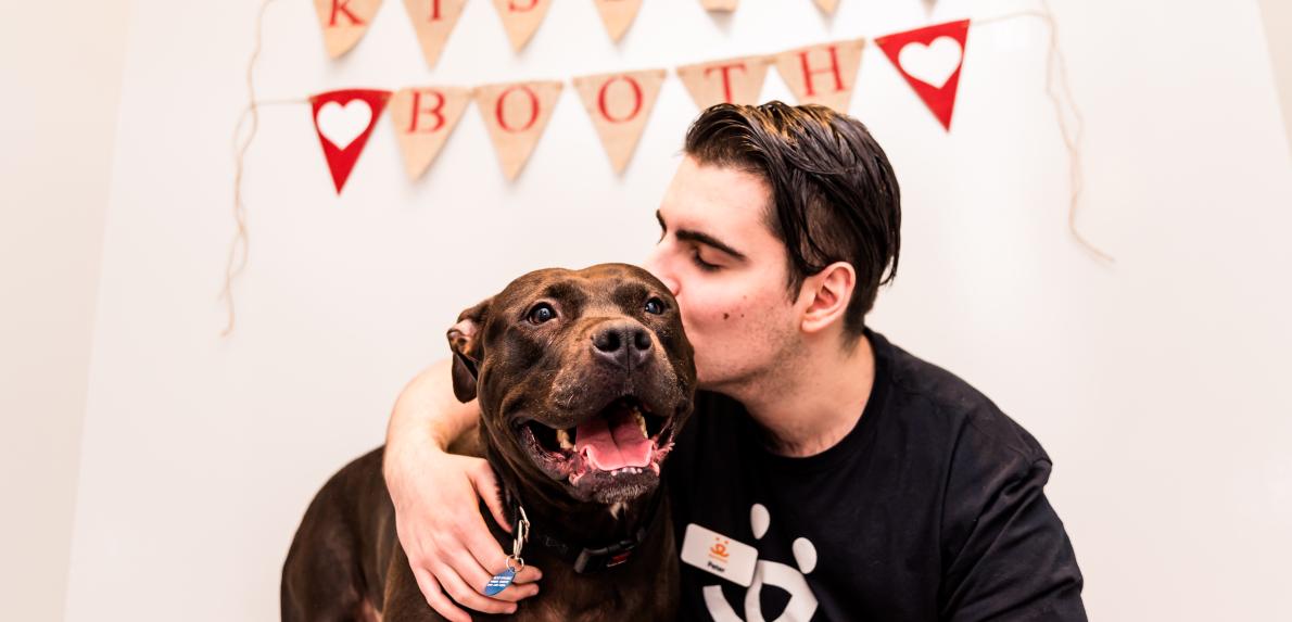 Valentine's Day pet adoption and fostering events are sweeping the nation this weekend.
