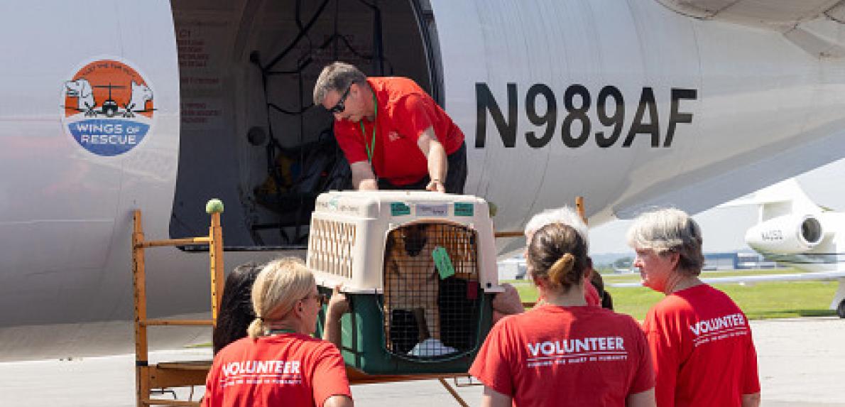 Brandywine Valley SPCA Texas Flood Flight