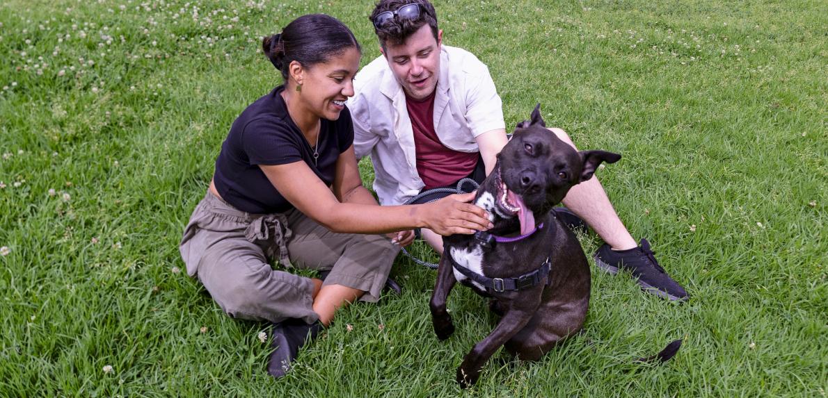 Best Friends Animal Society Seeks Foster Homes for Big Dogs This National Mutt Day