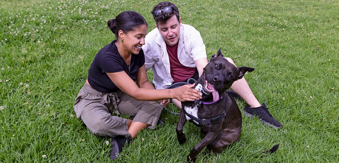 Two people interacting with a dog whose tongue is out outside on green grass