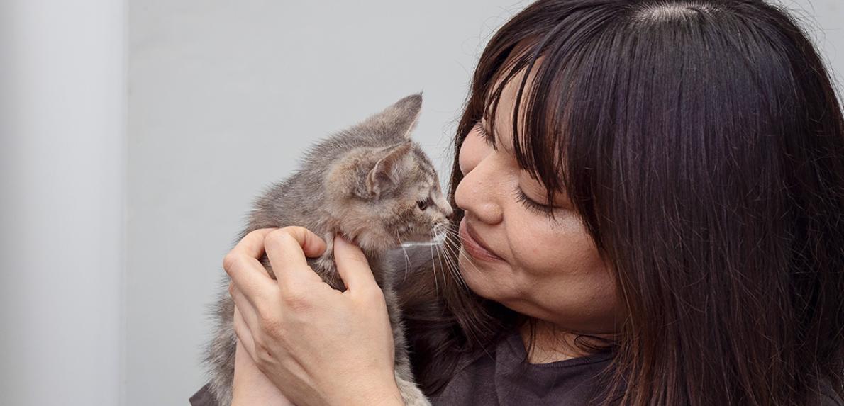 Person holding a kitten