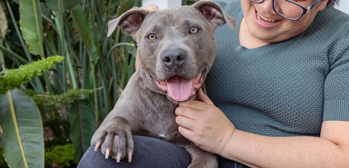 Photo credit: Best Friends Animal Society