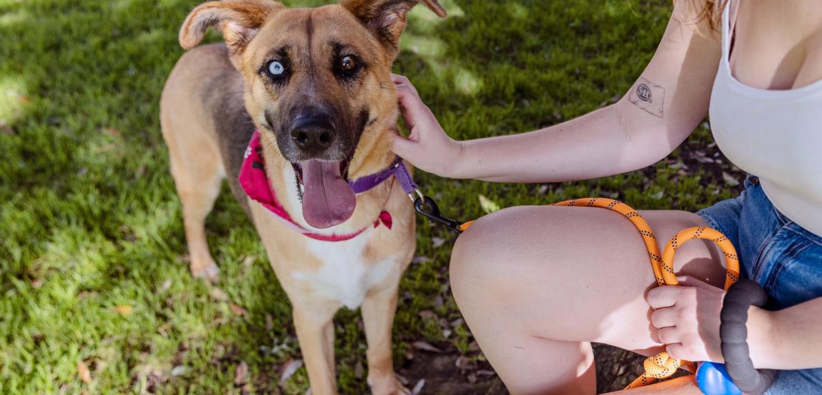 Best Friends Animal Society calls on the public to get adoptable dogs out of their kennels for the Nationwide Adventure Buddies Day 