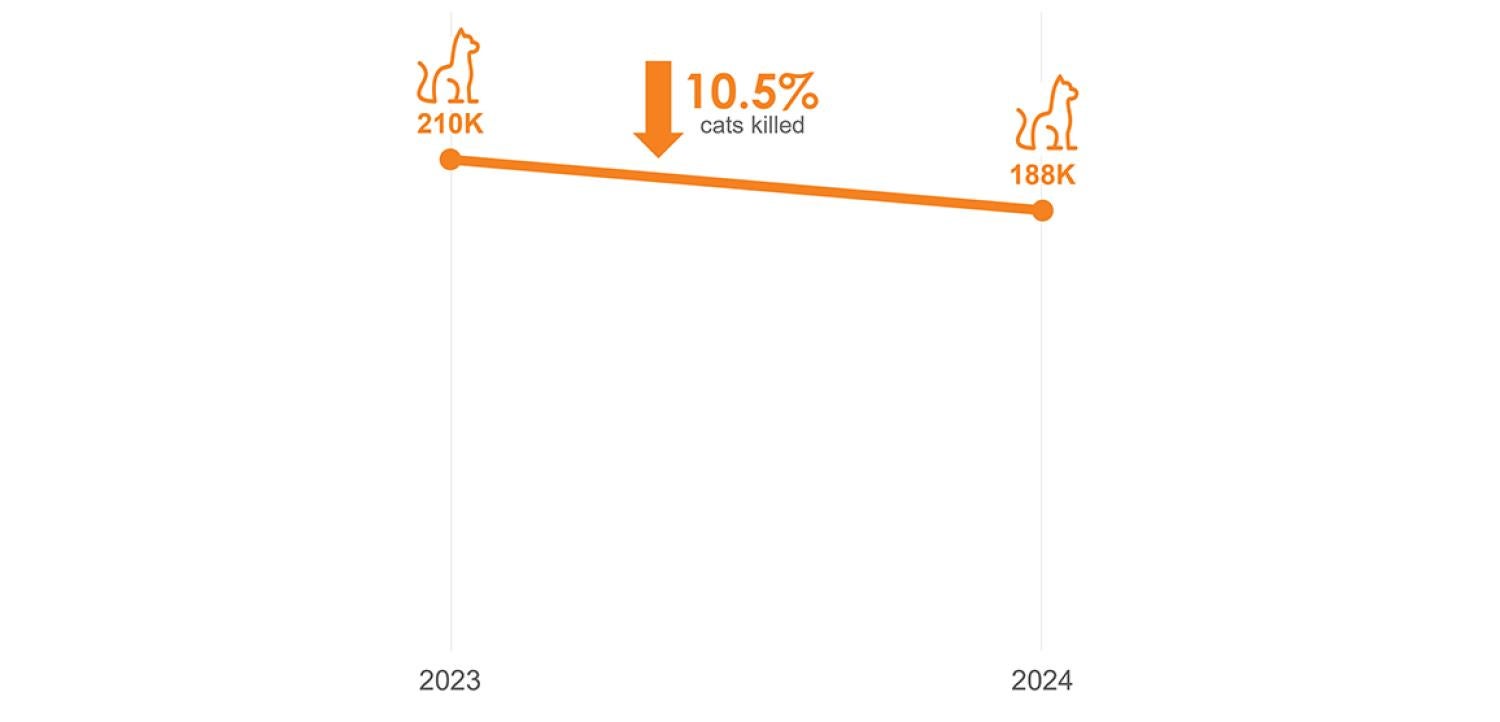 Decreasing graph showing "The number of cats killed in shelters decreased by 10.5% in 2024"