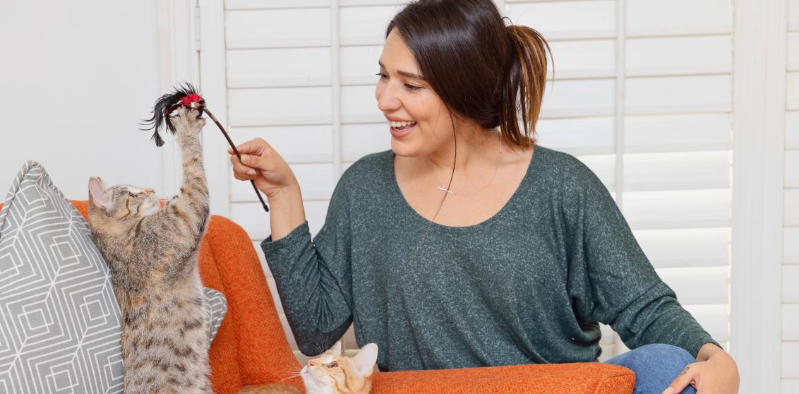 Smiling person playing with two kittens on an orange chair