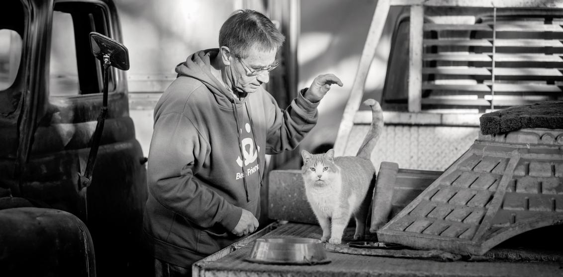 Person caring for a cat outdoors