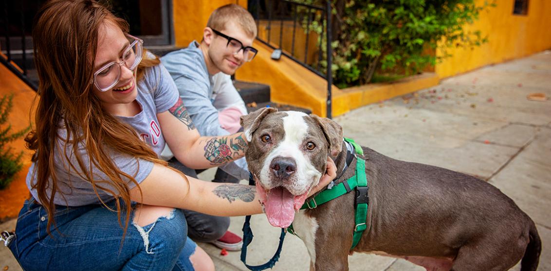 Two happy people outside on a sidewalk with a smiling gray and white pit bull type dog whose tongue is out