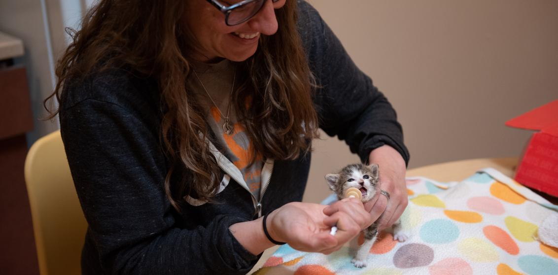 Amy syringe feeding Arabelle the kitten