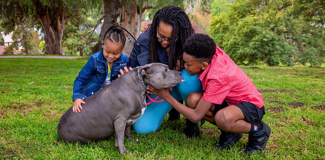 Family of mom with two kids petting a gray pit bull terrier dog