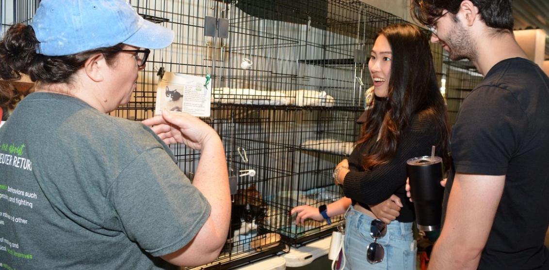 Excited adopters talking with a shelter employee in front of an adoptable cat in a cage.