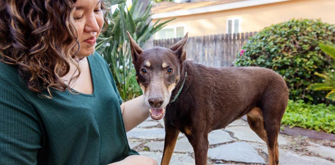 Woman outside, petting a Doberman-type dog