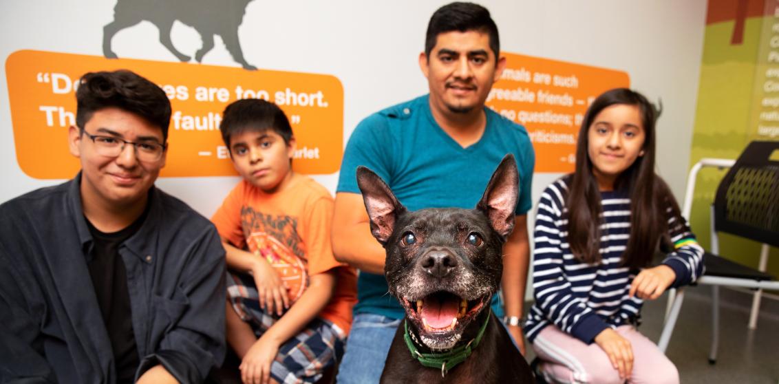 Group of smiling people sitting with a dog to celebrate its adoption