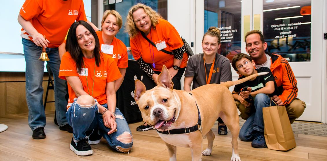 Group of smiling volunteers standing with a dog just adopted from Soho pet adoption center