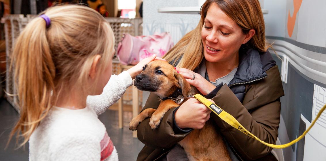 Two people petting a happy puppy at pet adoption center in SoHo