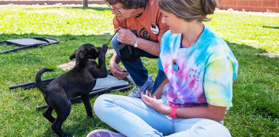 Two volunteers playing with a puppy in a grassy area