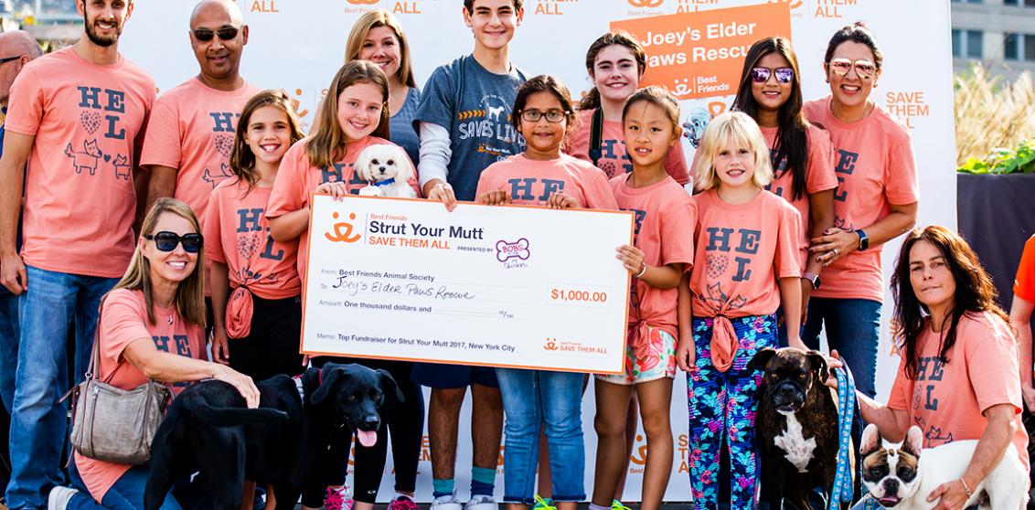 Group of people and dogs from Joey's Elder Paws Rescue holding a large $1,000 check on stage at a Strut Your Mutt event