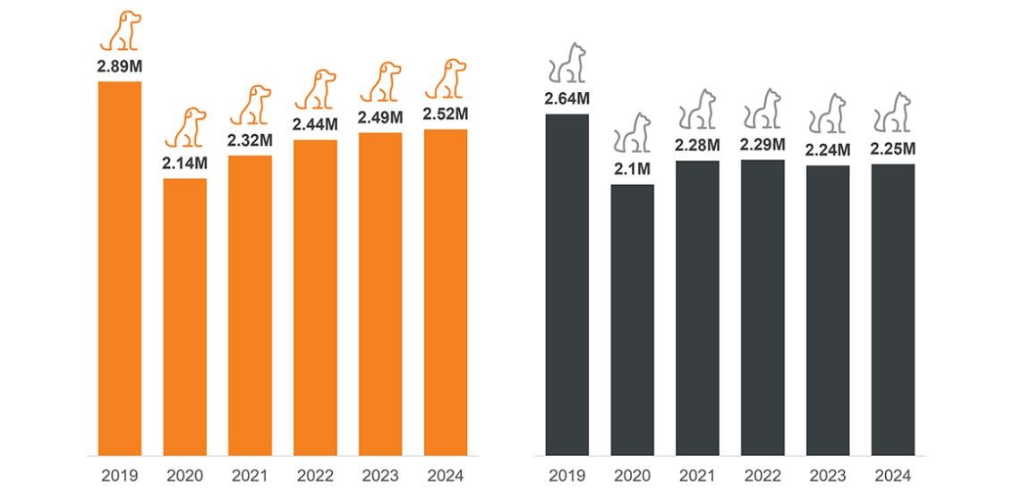 2019-2024 bar graphs of cat and dog intake showing "Animal intakes in 2023 and 2024 stabilized."